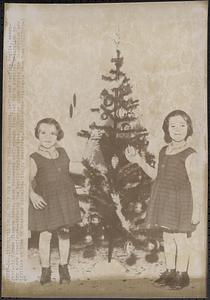 They'll dress their own Christmas tree