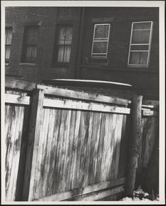Backyard fence, Boston