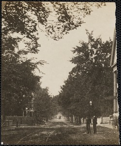 Tree-lined street. Newton Corner, Newton, MA
