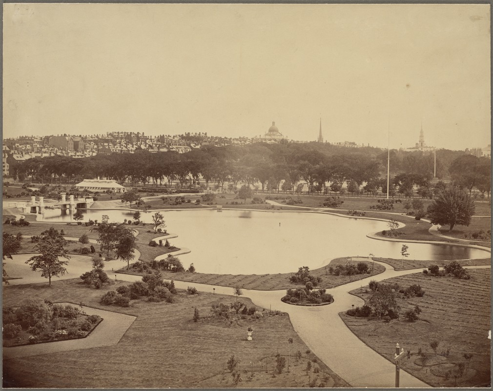 Pond in the Public Garden