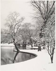 The Public Garden (in winter)