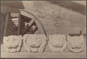 Boston Public Library. Under construction. Details of Lion's head