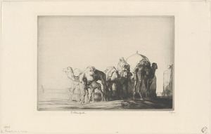 Camels at a well