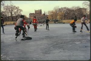 ice skating inner city at Public Garden