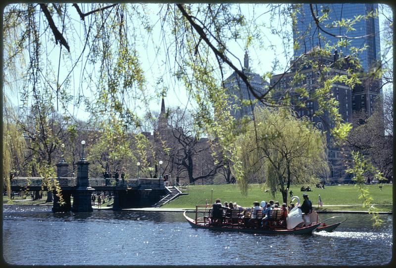 Public Garden/park in the heart of city