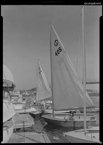 Sailboats at dock