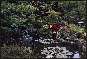 Close view of pond with bridge, small waterfall, and water lilies in a Japanese garden, British Columbia