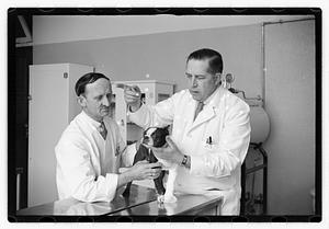 Dr. Dailey Angell Memorial Animal Hospital