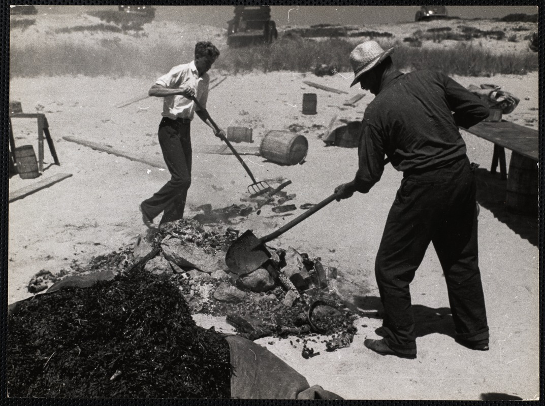 Nantucket clam bake Digital Commonwealth
