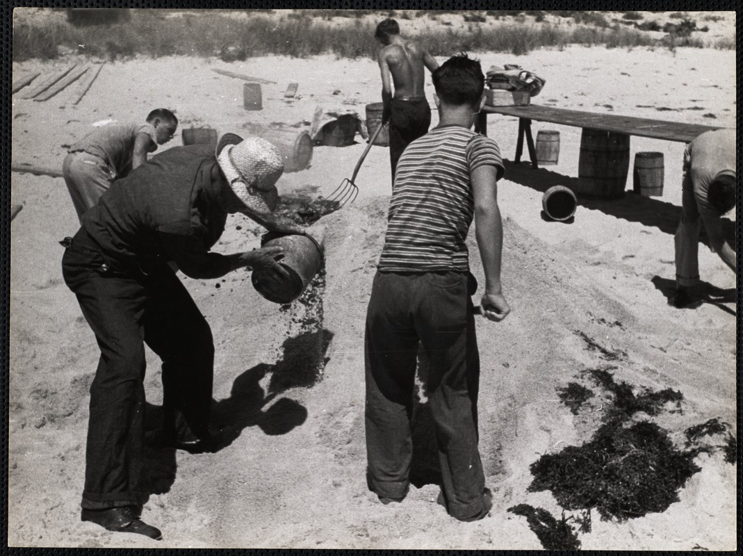 Nantucket clam bake Digital Commonwealth