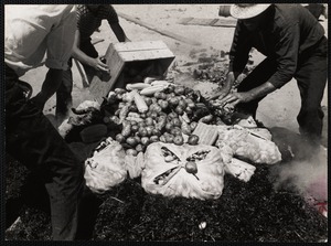 Nantucket clam bake