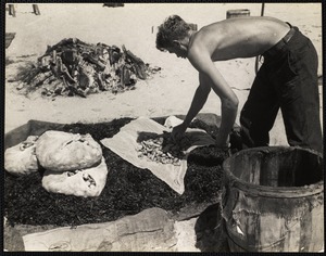 Nantucket clam bake