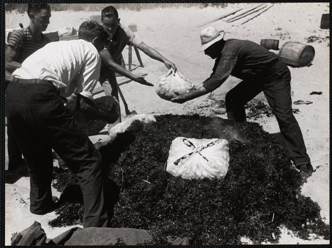 Nantucket clam bake Digital Commonwealth