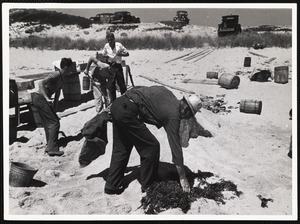 Siasconset clam bake Sconset custom requires a topping of sand, so's to be sure to keep the men a-stewin.