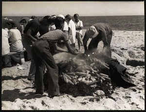 Siasconset clam bake Nantucket