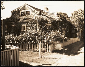 Rose covered cottage Siasconset, Nantucket Island