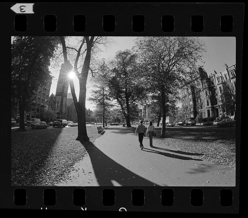 Afternoon on lower Commonwealth Avenue (fisheye lens), downtown Boston