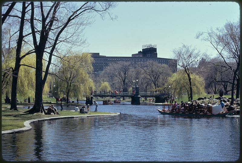 Public Garden/park in the heart of city