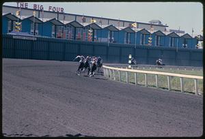 Horses at curve of race track at Calgary Stampede, Alberta