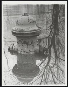 Fire hydrant in flood water