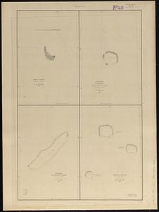 Metia Island, Paumotu Group ; Taweree or St. Simeon or Resolution Island, Paumotu Group ; Takurea or Wolconsky Island, Paumotu Group ; Seagull Islands, Paumotu Group