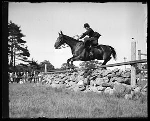 Horse jumping