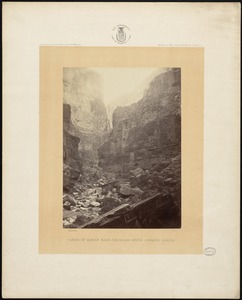 Cañon of Kanab Wash, Colorado River, looking north