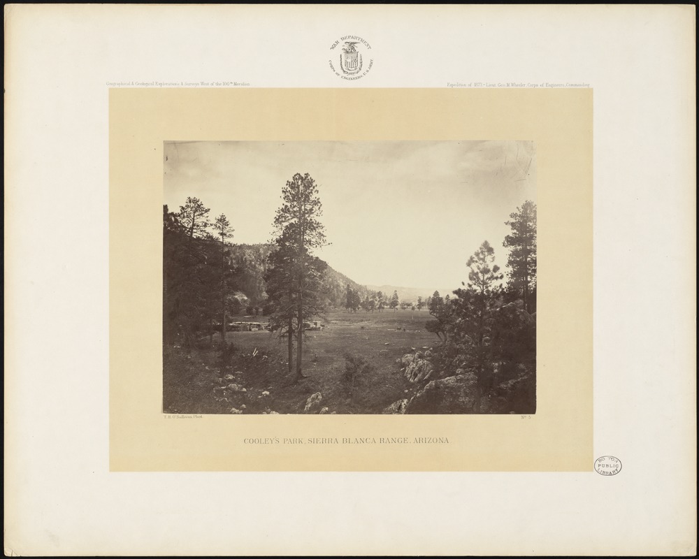 Cooley's Park, Sierra Blanca Range, Arizona