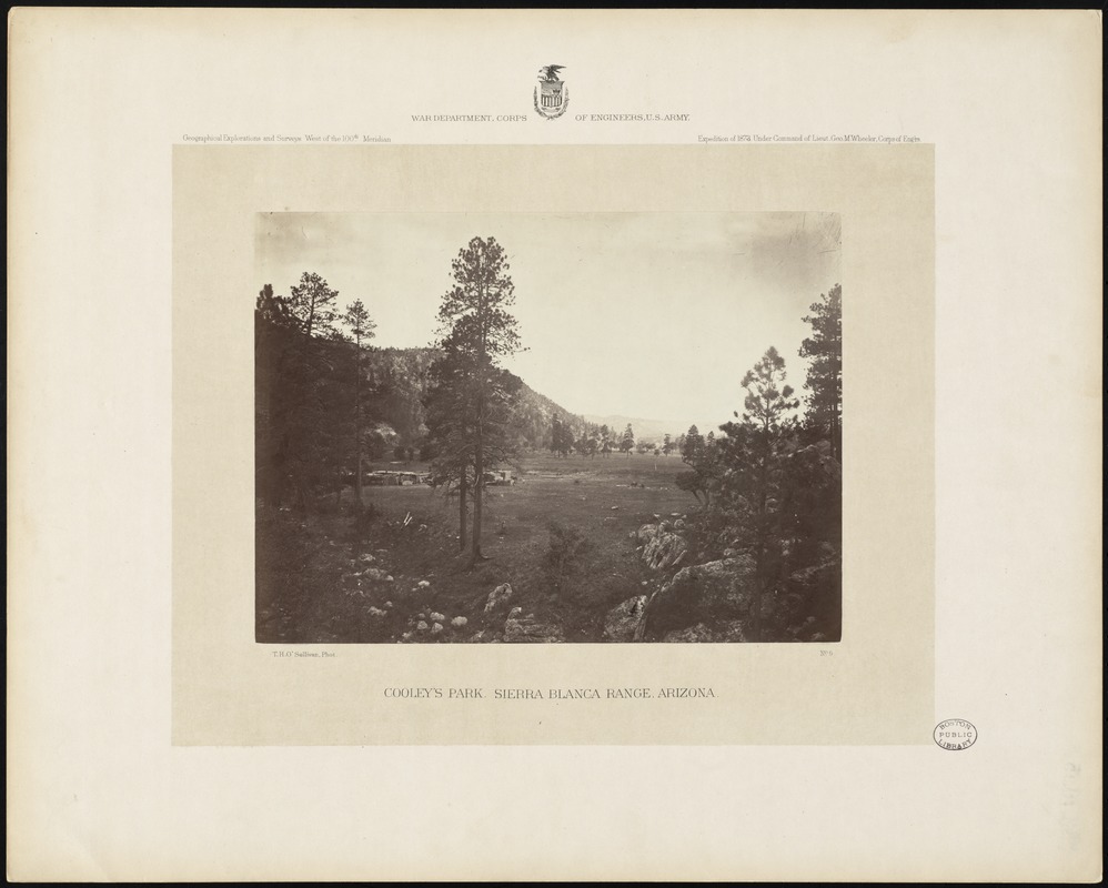 Cooley's Park, Sierra Blanca Range, Arizona