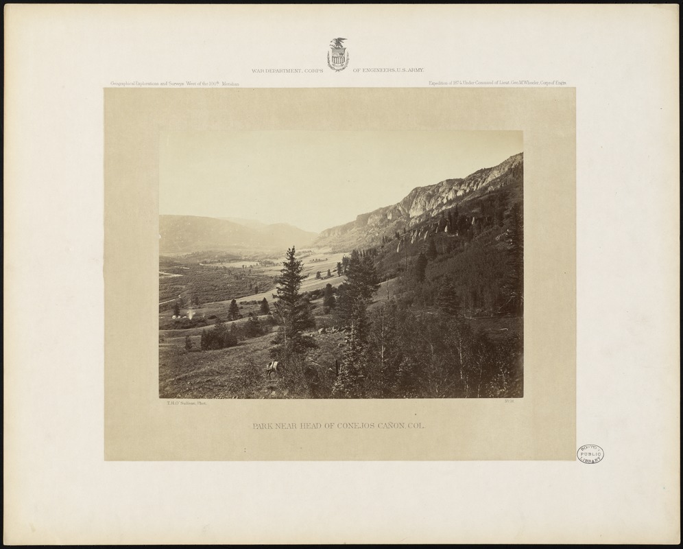 Park near head of Conejos Cañon, Col.