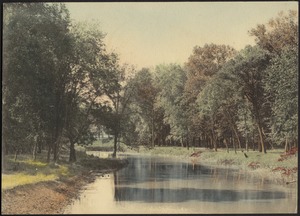 Hand-tinted photo of river and trees