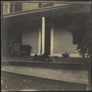Black Great Dane on porch, possibly "Etzel"