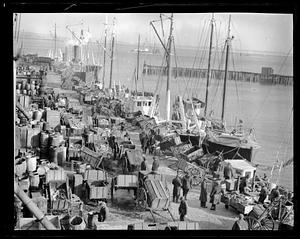 Waterfront - Push-pull carts
