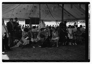 Dog show municipal hunt club