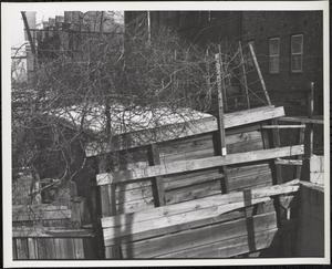 Backyard fence, Boston