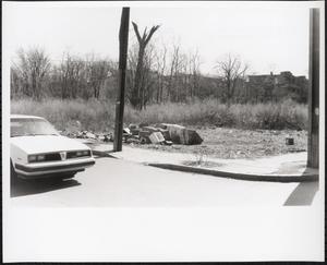 Elmore Street, Roxbury, Boston