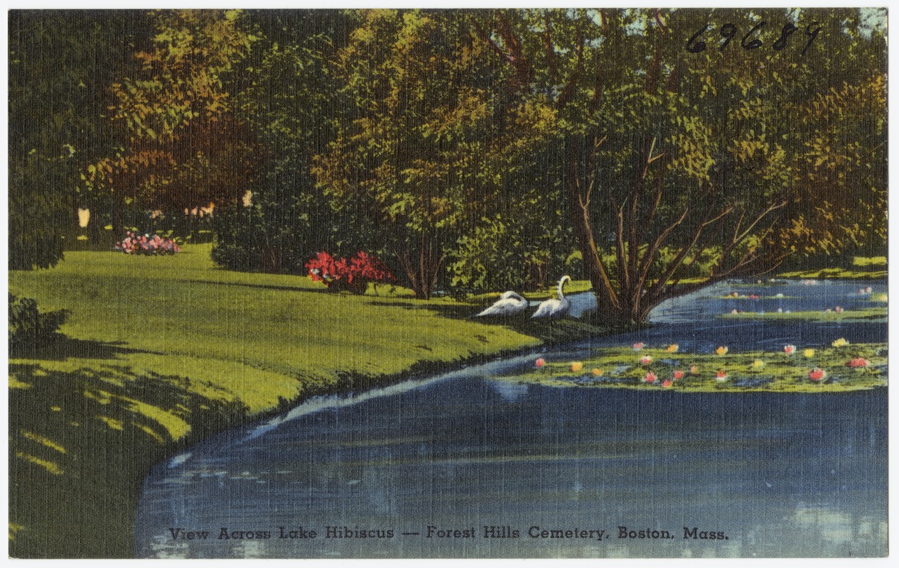 View across Lake Hibiscus -- Forest Hills Cemetery, Boston, Mass.