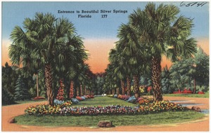 Entrance to beautiful Silver Springs, Florida