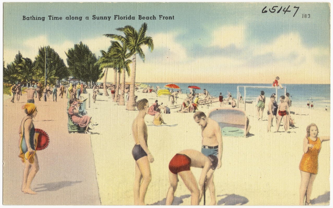 Bathing time along a sunny Florida beach front