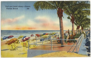 Surf and sand along a sunny Florida beach