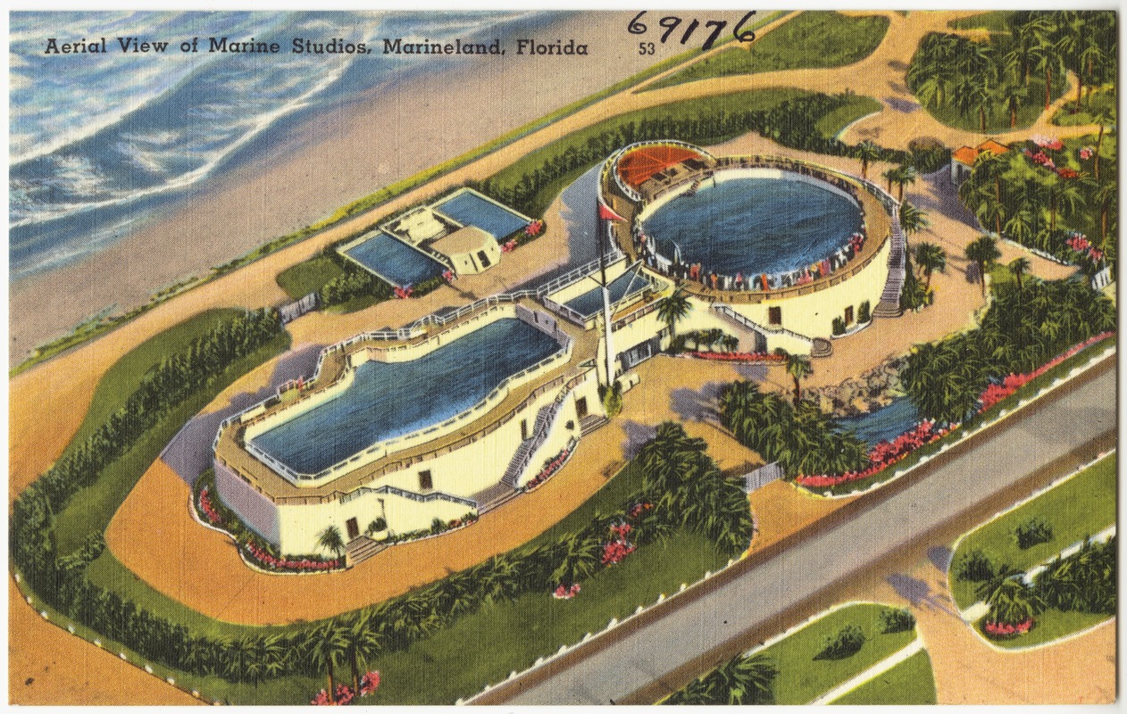 Aerial view of Marine Studios, Marineland. Florida