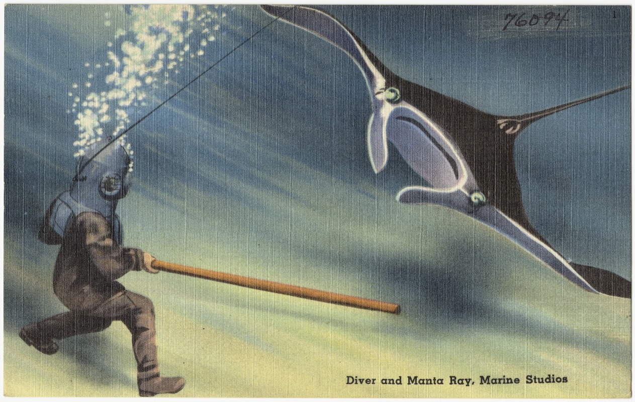 Diver and manta ray, Marine Studios
