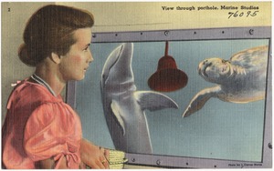 View through porthole, Marine Studios