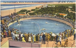 Top deck crowd at Marine Studios, Marineland, Florida