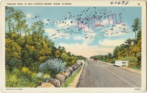 Tamiami Trail at Big Cypress Swamp, Miami, Florida