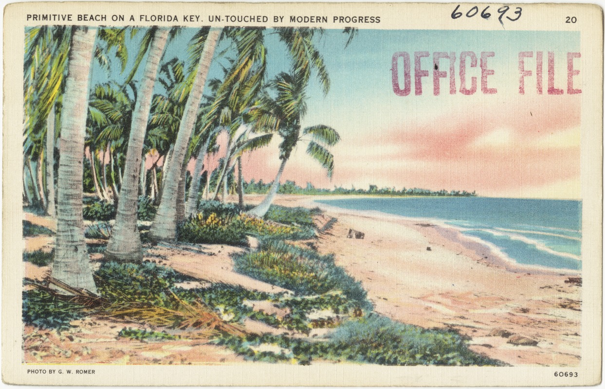 Primitive beach on a Florida key, un-touched by modern progress