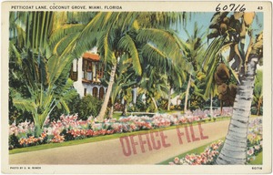 Petticoat Lane, Coconut Grove, Miami Florida
