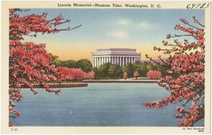 Lincoln Memorial -- Blossom time, Washington, D. C.