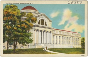 National Museum, Washington, D. C.