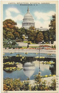 Capitol reflections, Botanical Gardens at night, Washington, D. C.